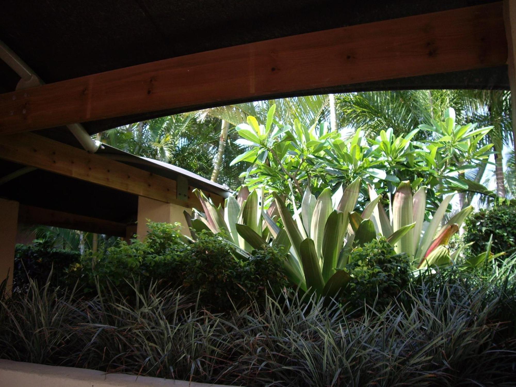 Bila Vista Kirra Beachside Apartments Gold Coast Luaran gambar